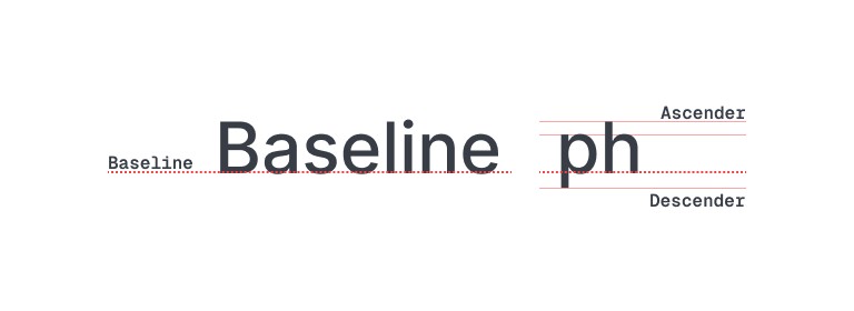 The word “Baseline” sitting on a red dotted line, beside the letters “ph” with guides labelled ascender and descender above and below it.