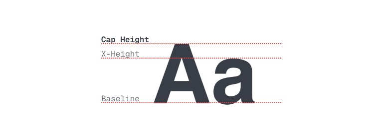 A capital A and lowercase a with three red guides labelled cap height, x-height and baseline.